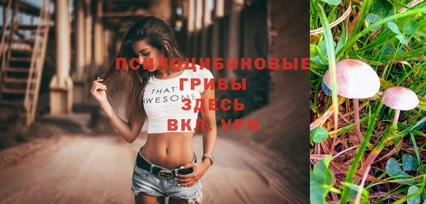меф Бородино